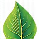 Abstract depiction of a leaf intertwining with watch components, illustrating the environmental benefits of extending product life.